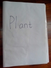 Lapbook: Plant