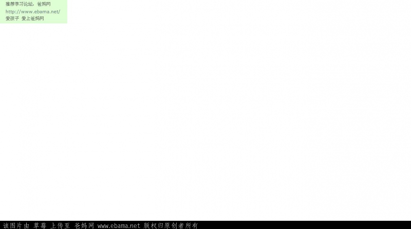 p1.JPG