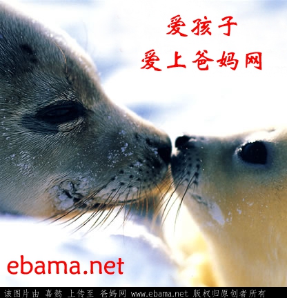 ebama.jpg