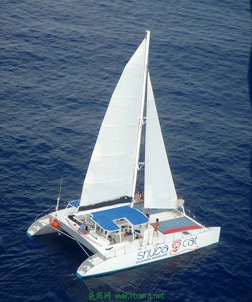 catamaran.jpg