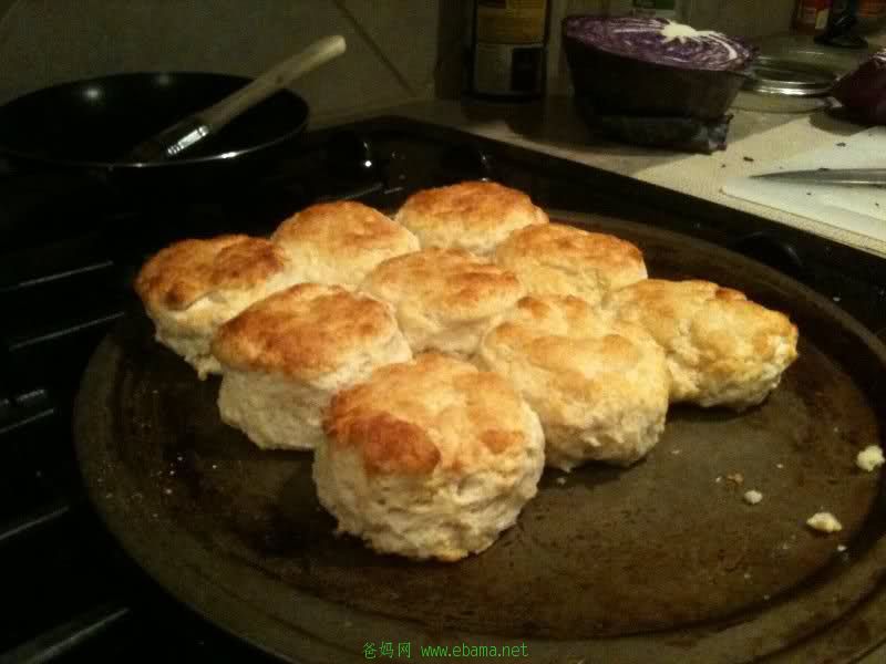 biscuit