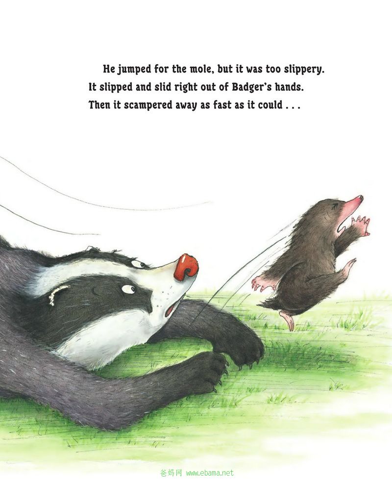 Badger\'s Fancy Meal_ҳ_11.jpg