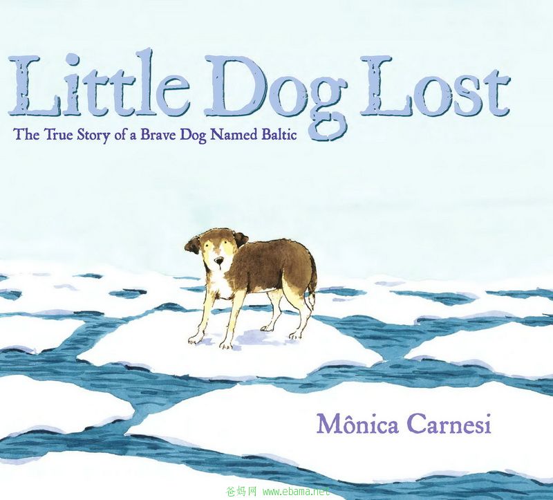 54 Little Dog Lost_ҳ_01.jpg