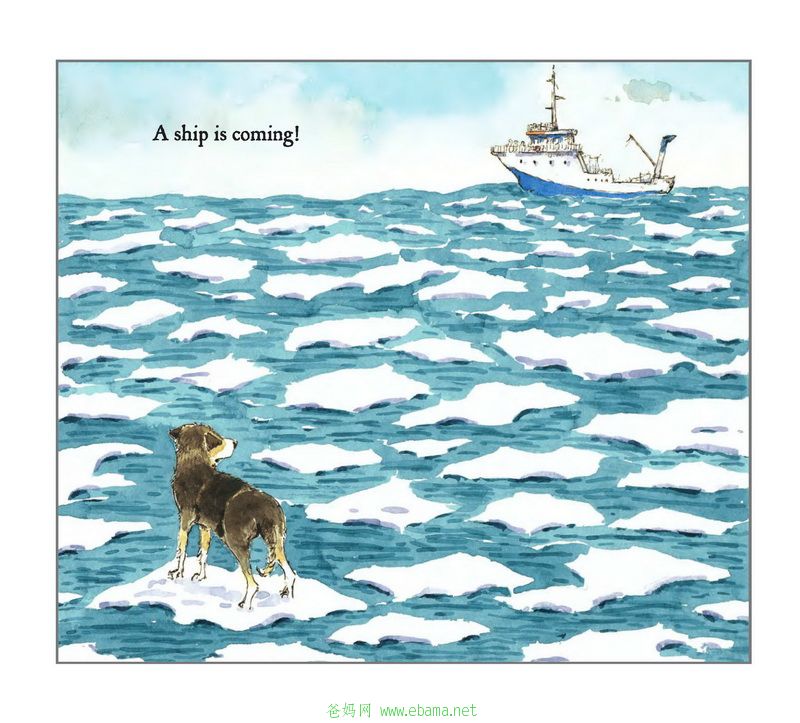 54 Little Dog Lost_ҳ_16.jpg