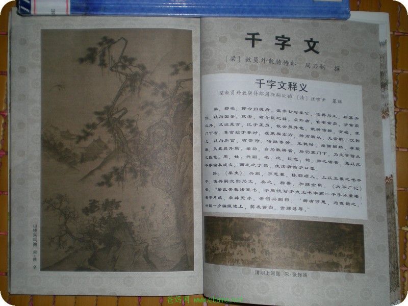 conew_dscn0023.jpg