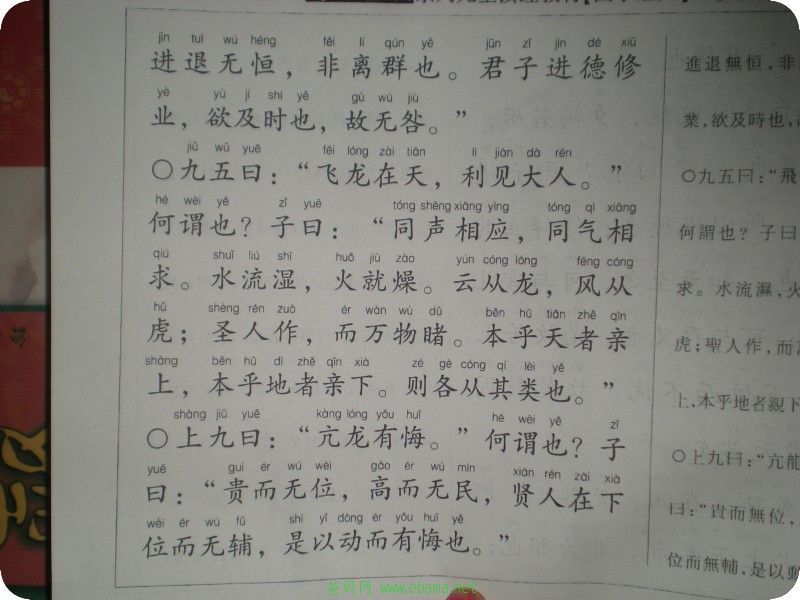 conew_dscn0183.jpg