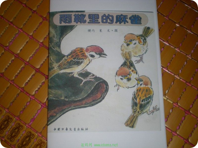 conew_dscn0195.jpg