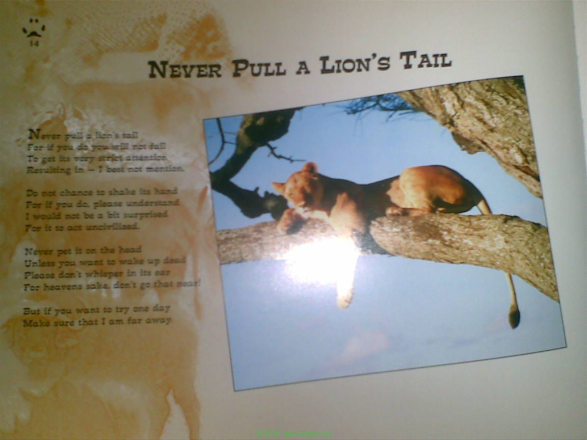 20120802.jpg