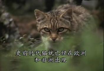 ͼ201210168673421.jpg