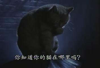 ͼ201210169671671.jpg