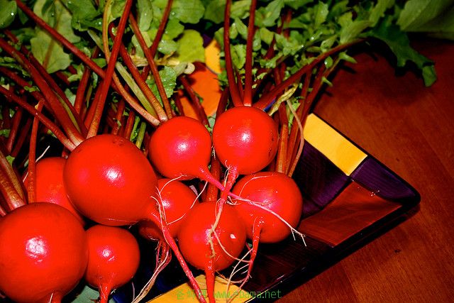 radish.jpg