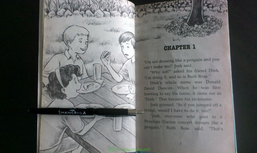 IMAG0083 (900x538).jpg