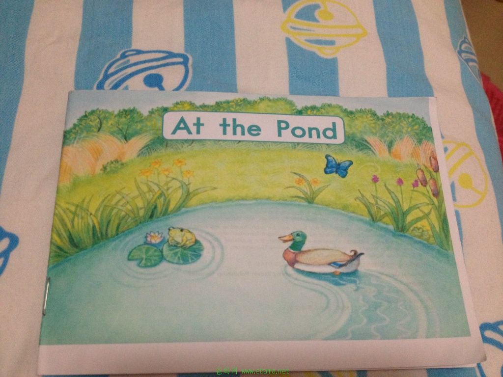 at the pond.jpg