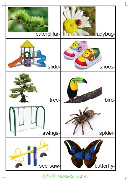 word11.jpg