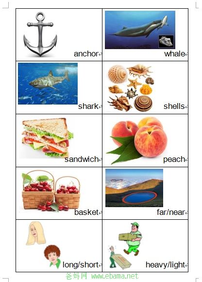 word15.jpg
