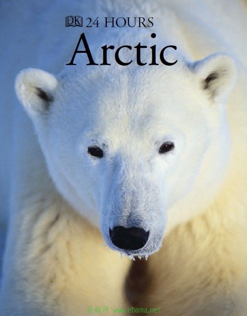 DK Arctic1.jpg