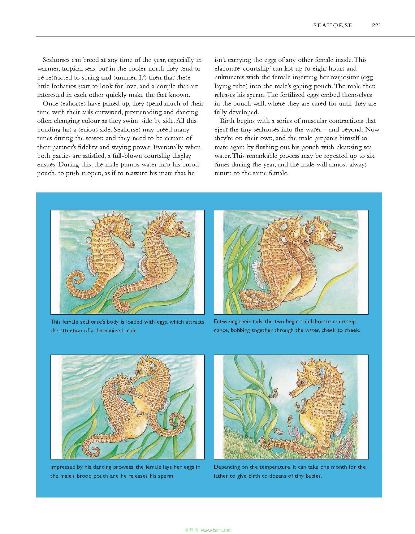 复件 Atlas of the World\'s Strangest Animals_页面_4.jpg