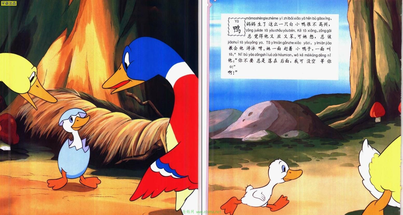 4.JPG