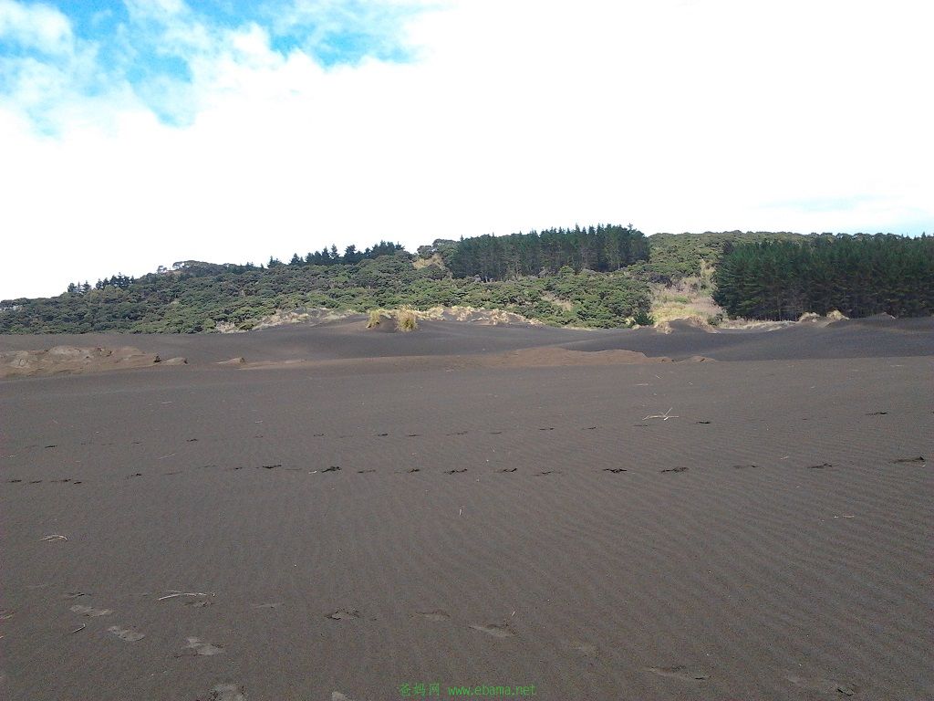 2014-03-05 13.56.41.jpg