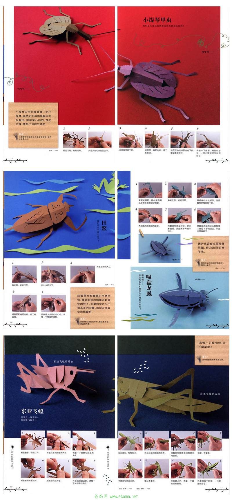 QY03.jpg
