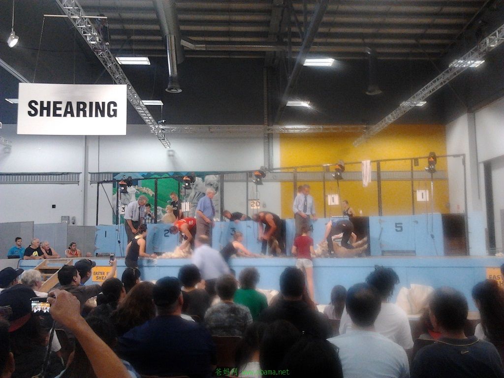 2014-04-18 13.20.25.jpg