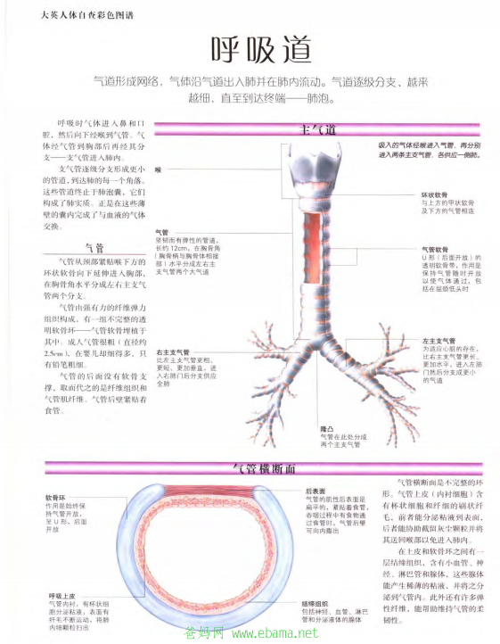 QQͼ20140605125042.png