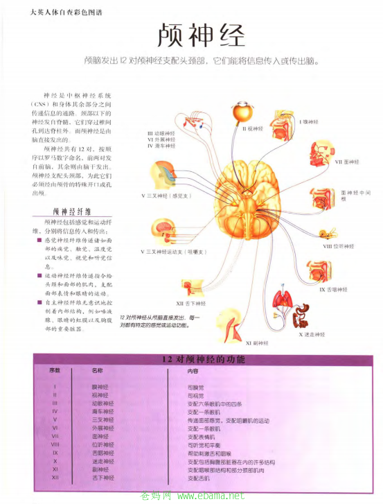 QQͼ20140605125012.png