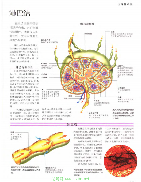 QQͼ20140605125135.png
