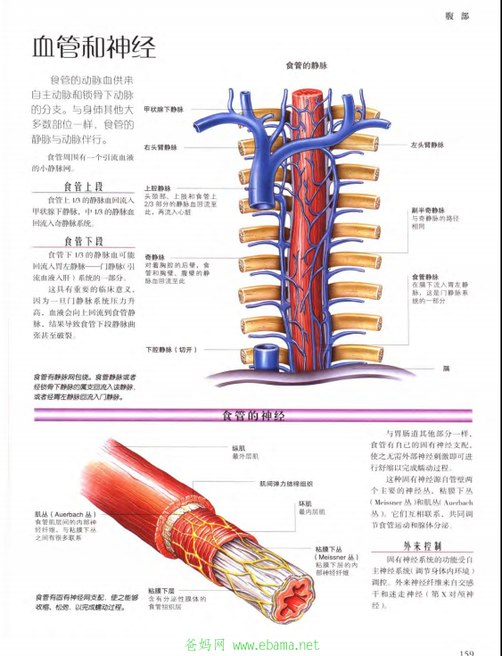 QQͼ20140605125058.png