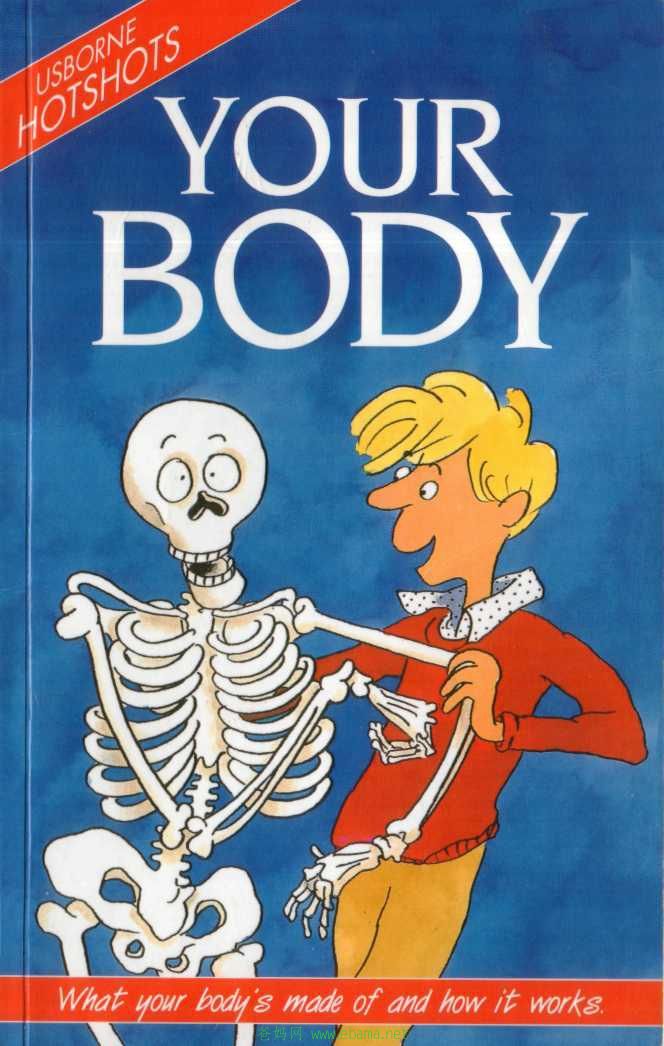 Your Body.jpg