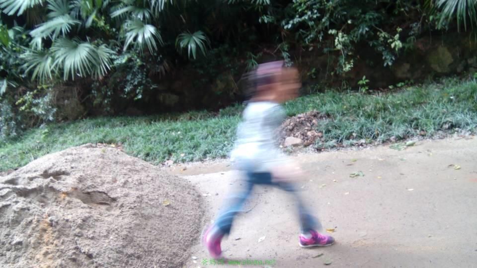 464136752.jpeg