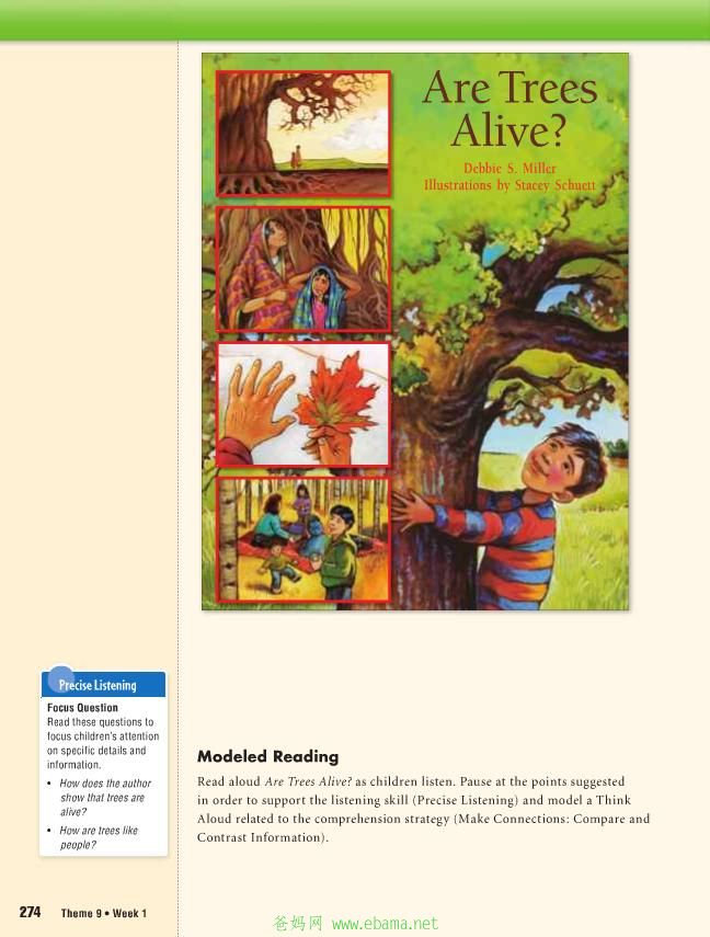 page12[1].jpg