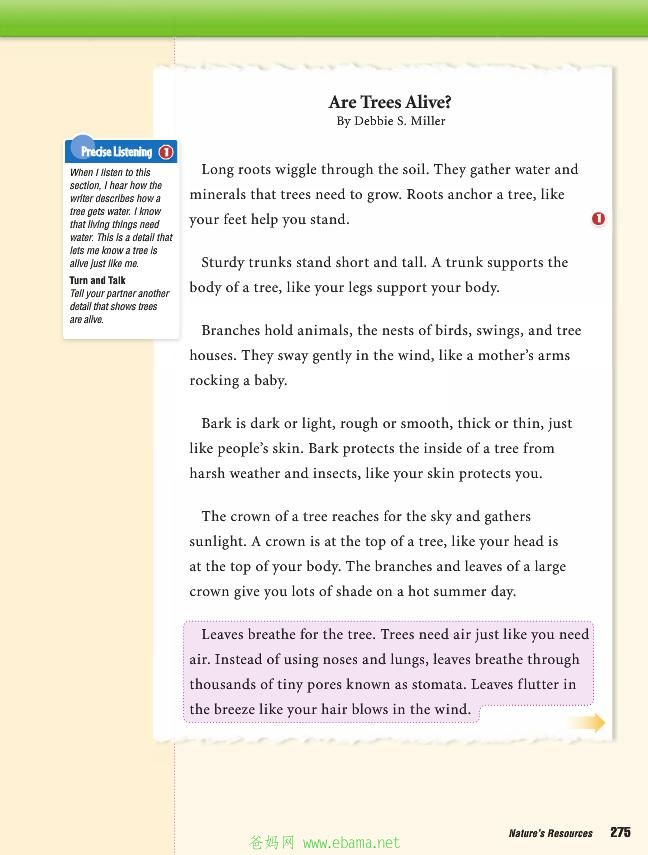page13[1].jpg