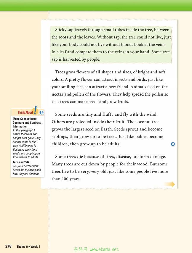 page14[1].jpg