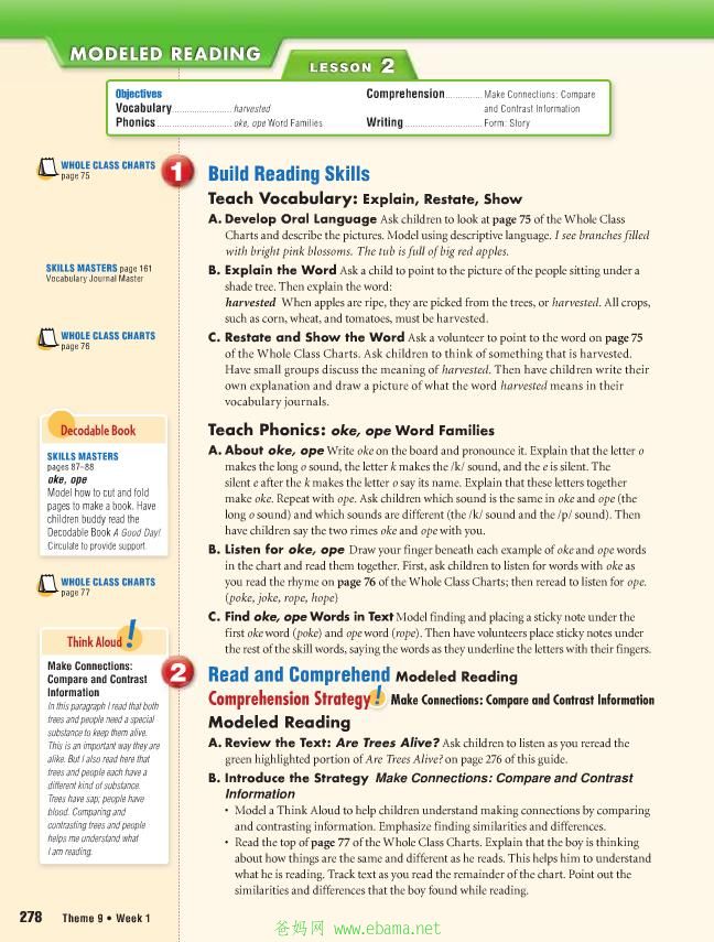 page16[1].jpg