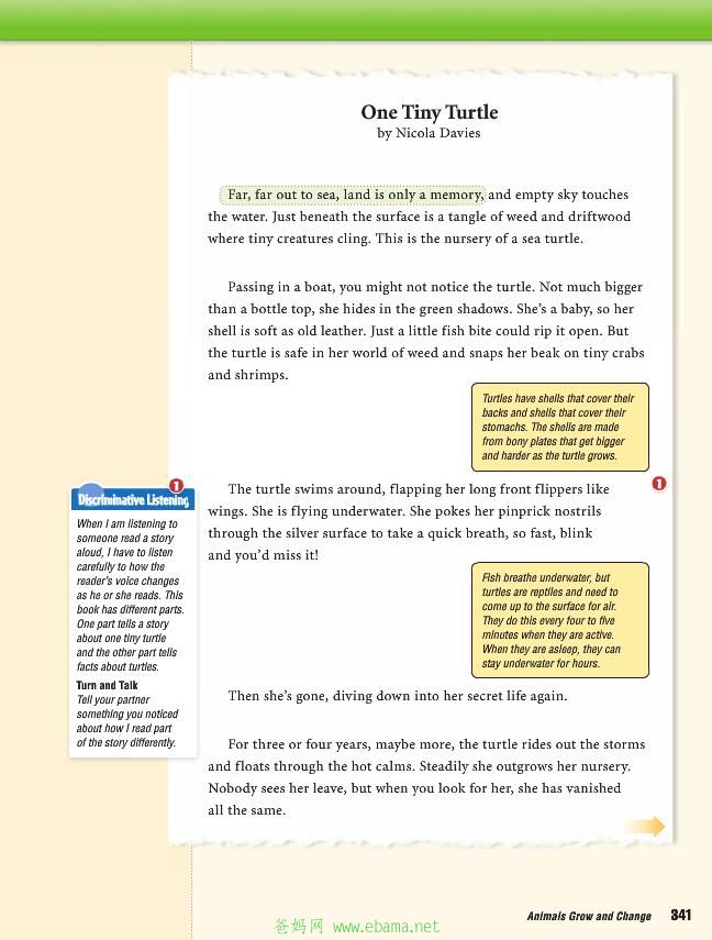 page13[1].jpg