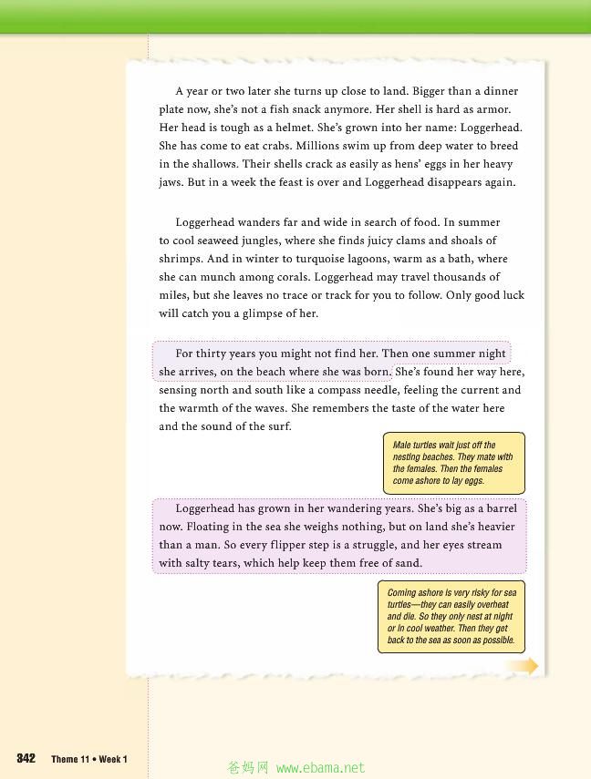 page14[1].jpg