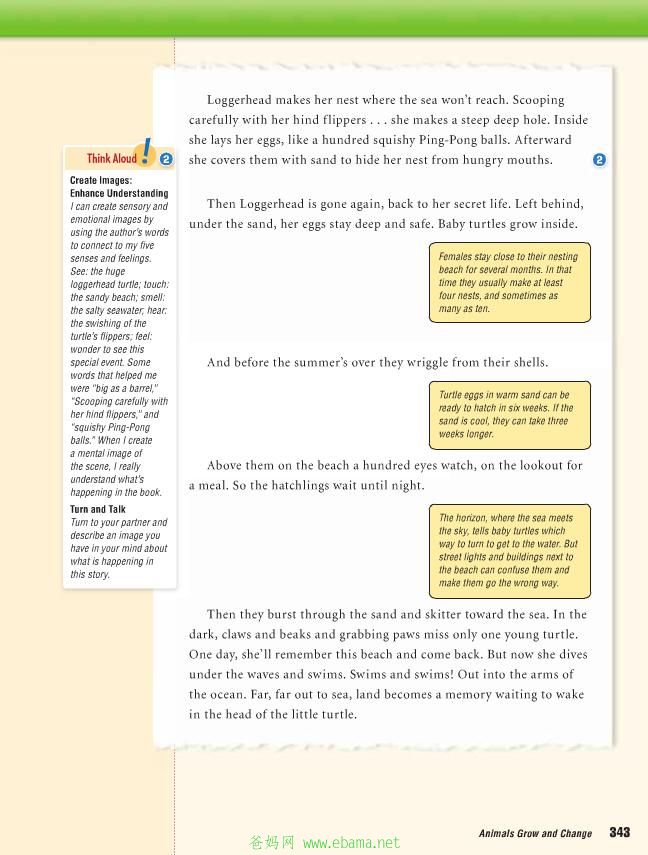 page15[1].jpg