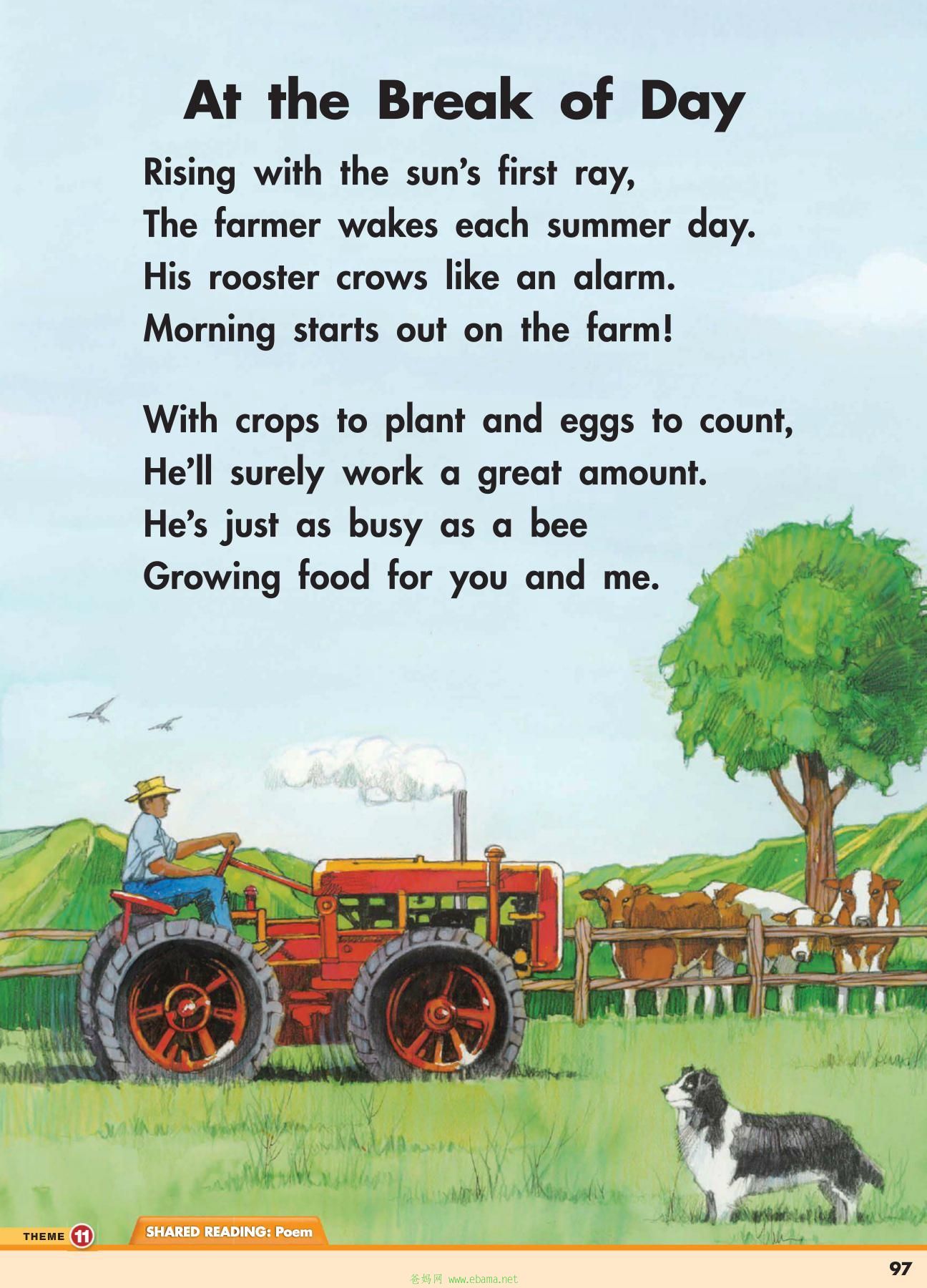 page29[1].jpg
