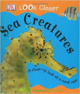 DK LOOK CLOSER SEA CREATURES COVER.jpg