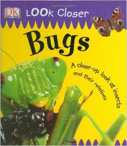 DK LOOK CLOSER BUGS COVER.jpg