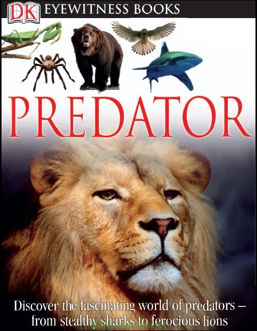 DK PREDATOR COVER.jpg