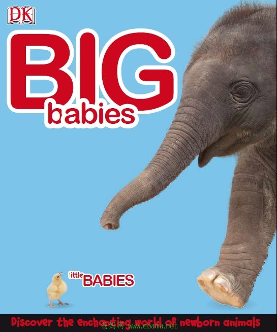 DK big babies little babies cover.jpg