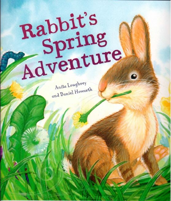 rabbit\'s spring adventure cover.jpg