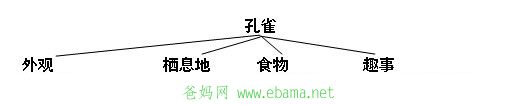 kongbai-tree-map.jpg