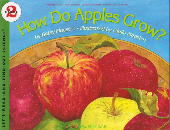 How do apples grow.jpg
