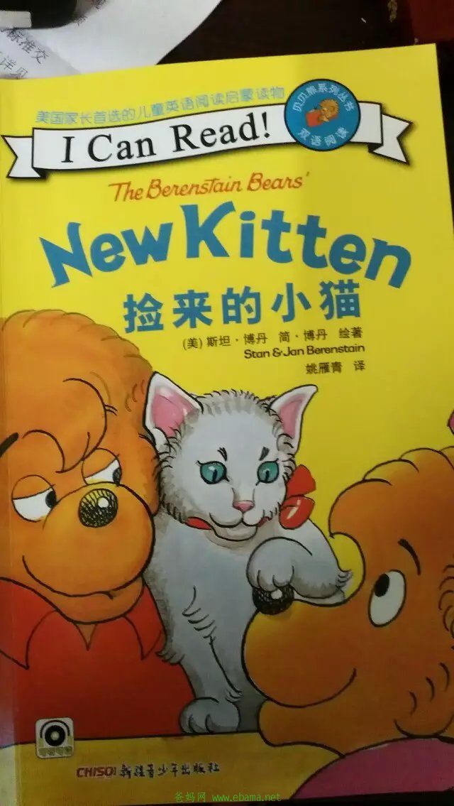 new kitten.jpg