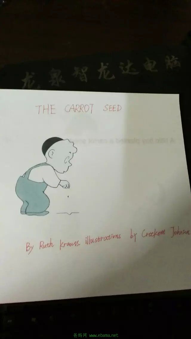 seed.jpg