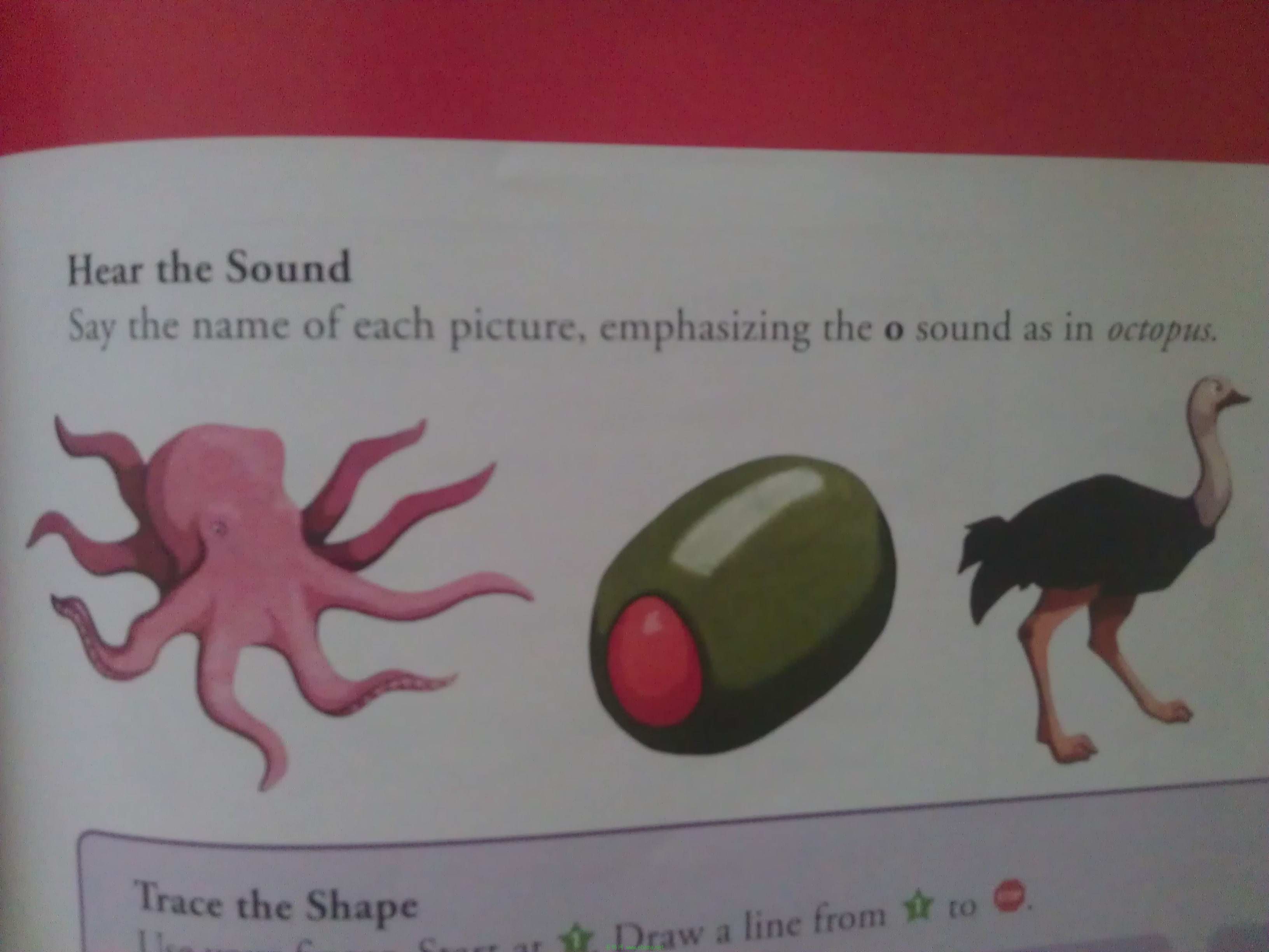 o sound.jpg