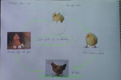 image012.jpg